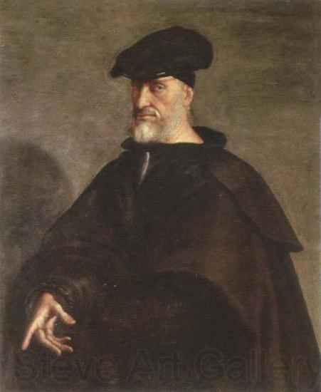 Sebastiano del Piombo portrait of andrea doria France oil painting art